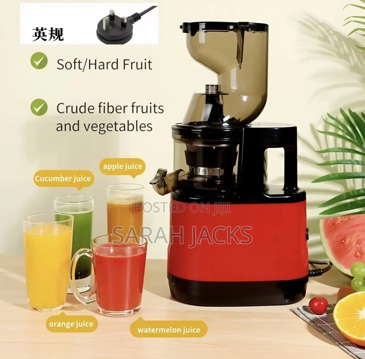 Slow Juicer