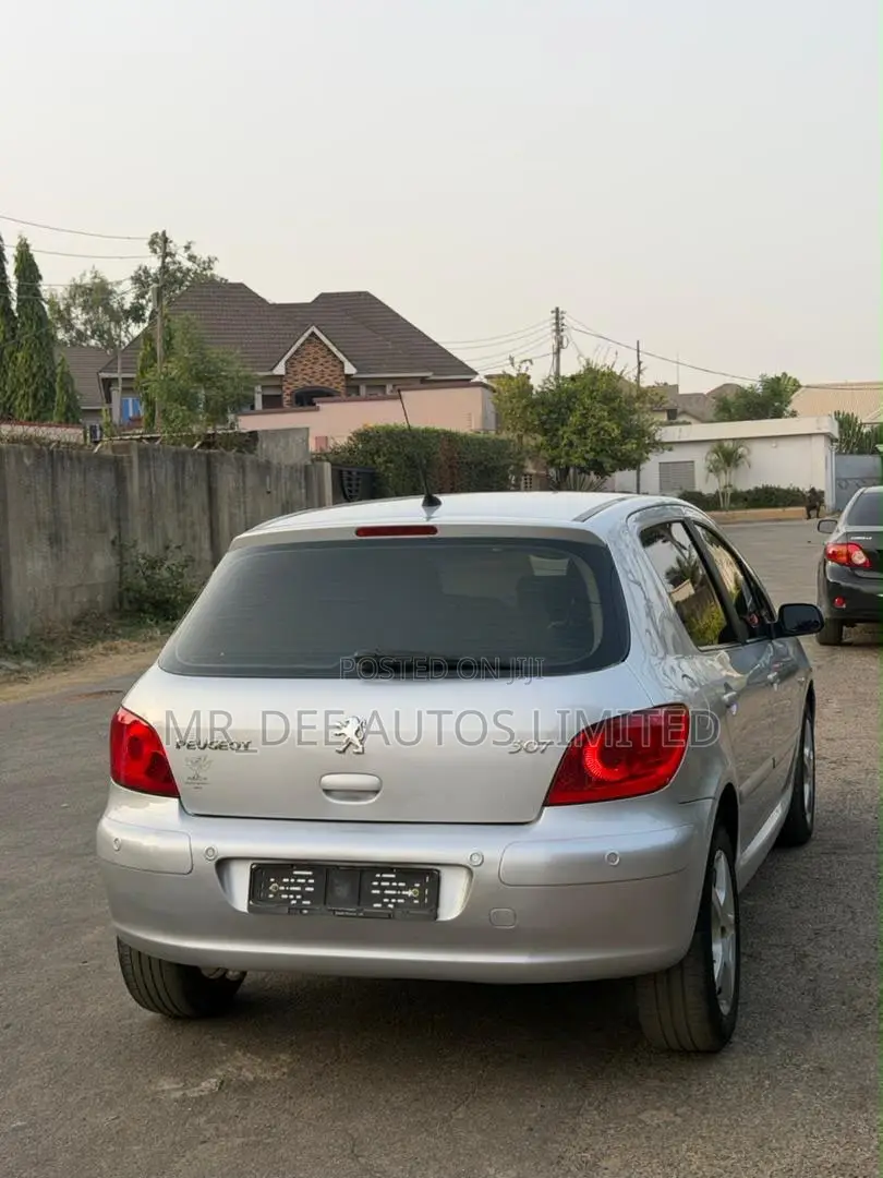 Peugeot 307 2007 Silver