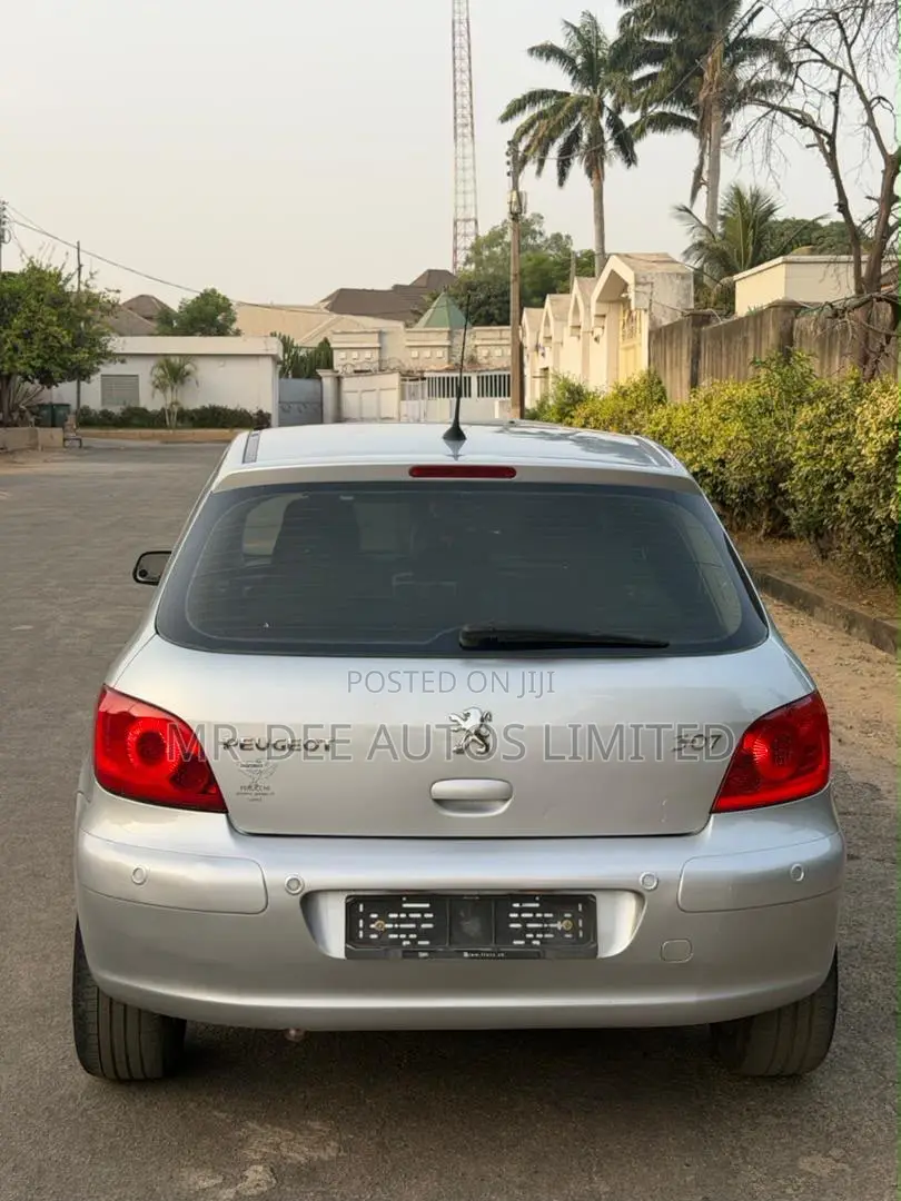 Peugeot 307 2007 Silver