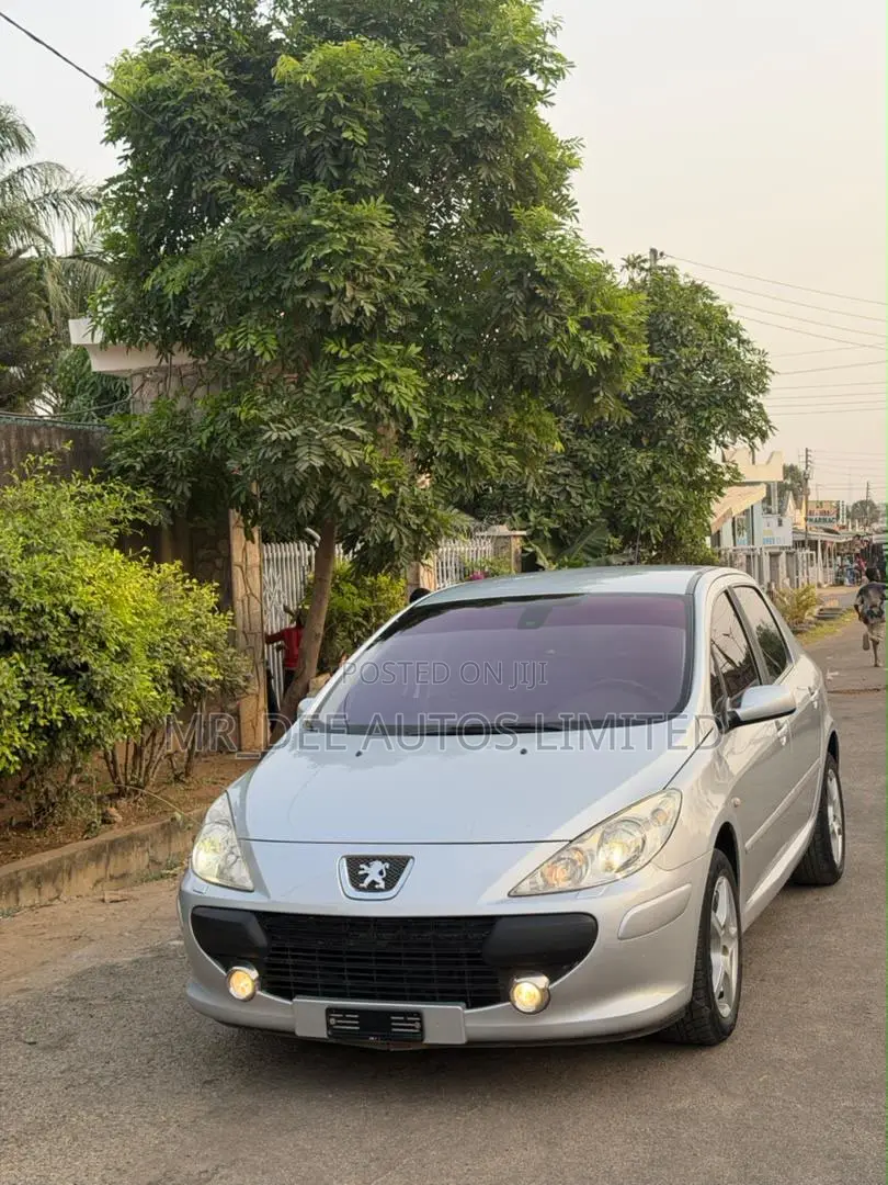Peugeot 307 2007 Silver