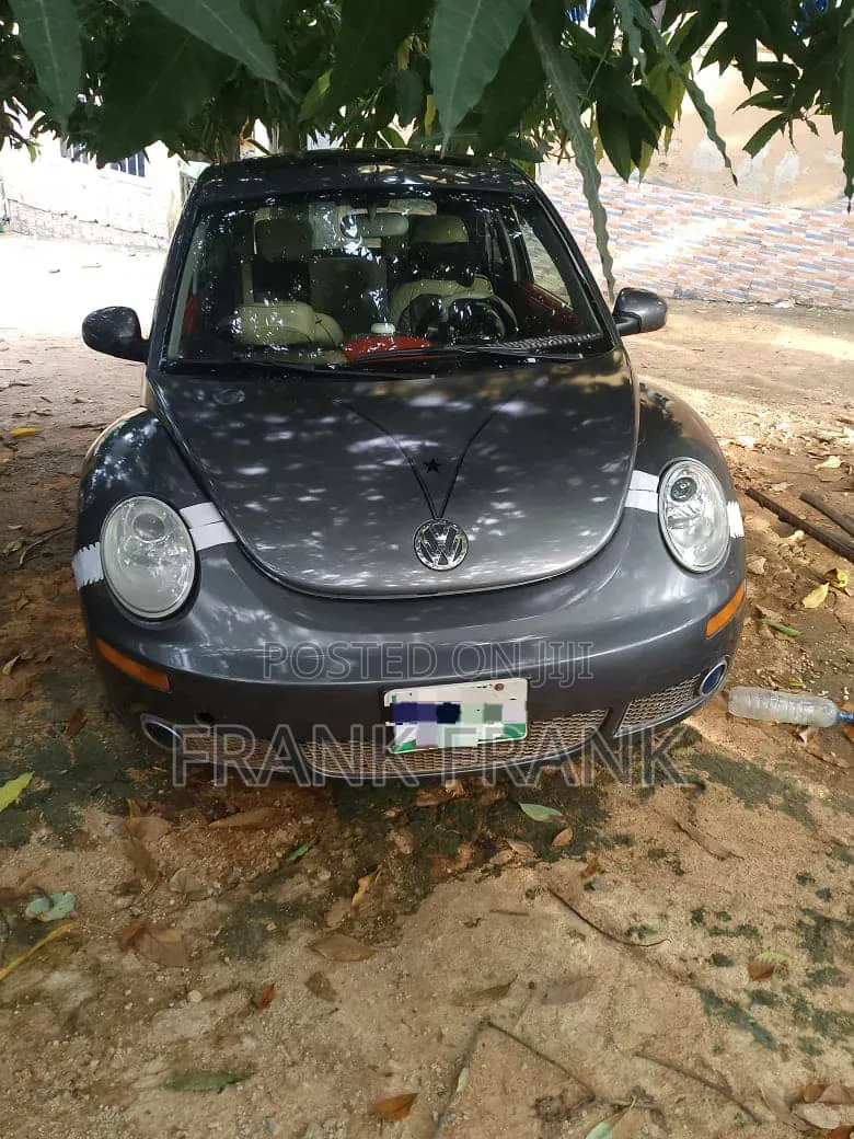 Volkswagen Beetle 2010 Gray