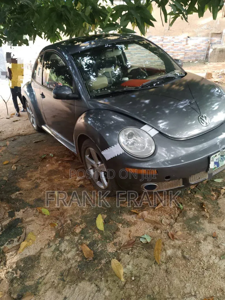 Volkswagen Beetle 2010 Gray