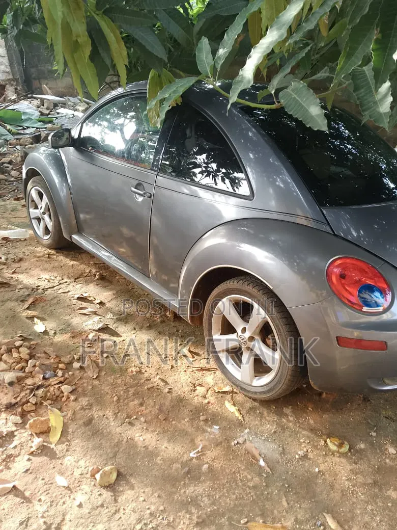 Volkswagen Beetle 2010 Gray