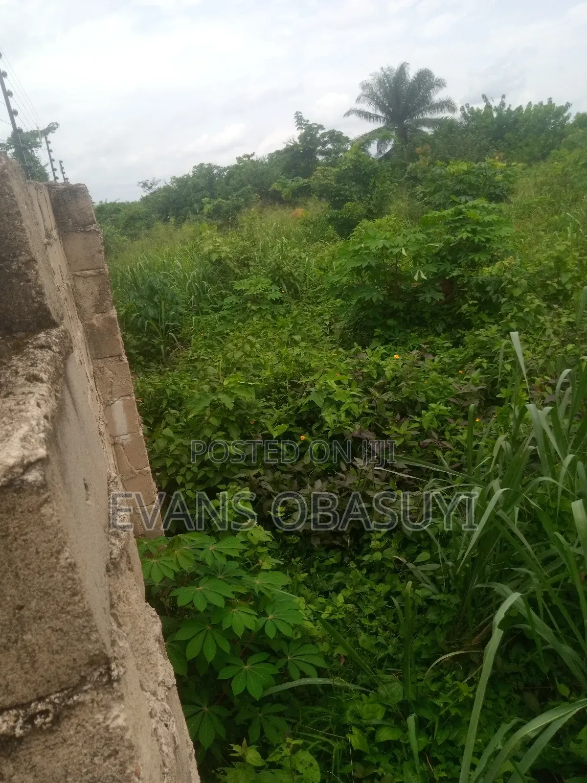 Land for Residential or Commercial Purposes Available