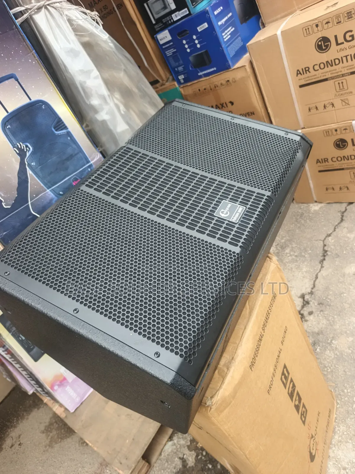 Floor Monitor/Feedback Speaker.