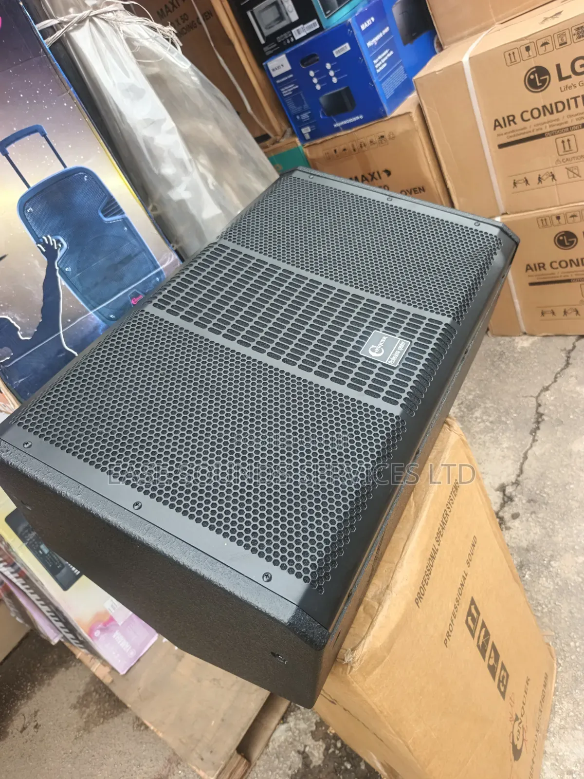 Floor Monitor/Feedback Speaker.