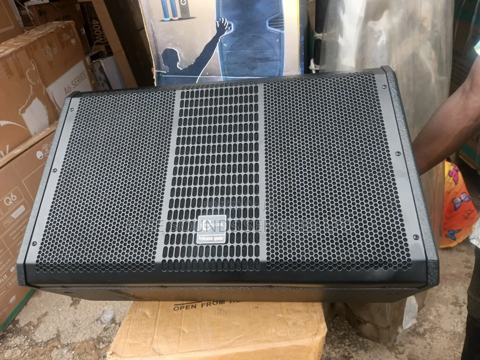 Floor Monitor/Feedback Speaker.