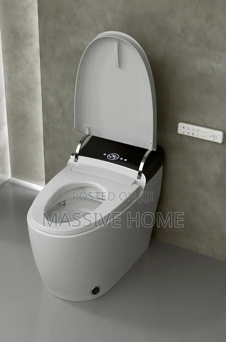 Executive Censor Automatic Smart Wc With Remote