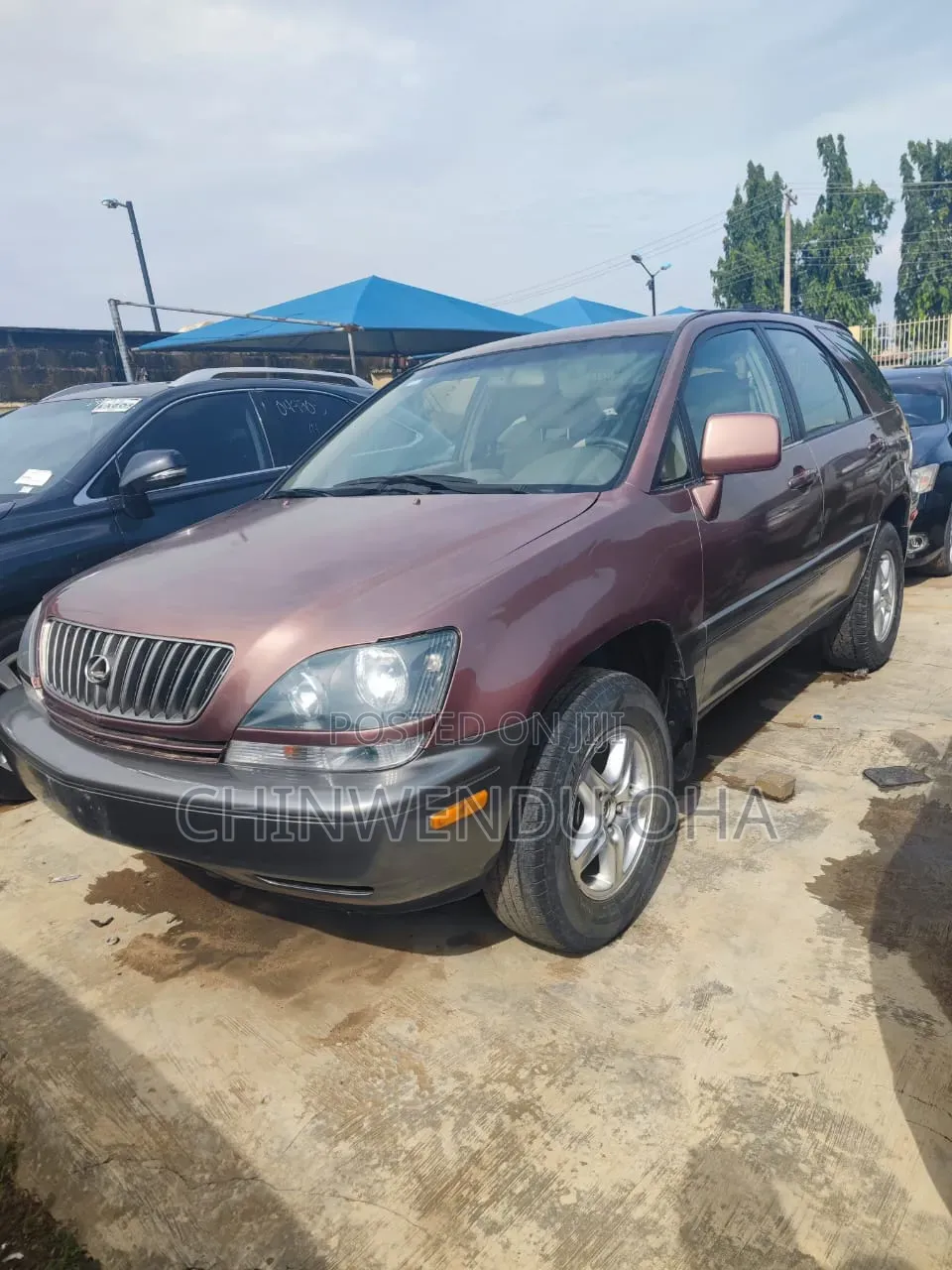 Lexus RX 2000 Brown