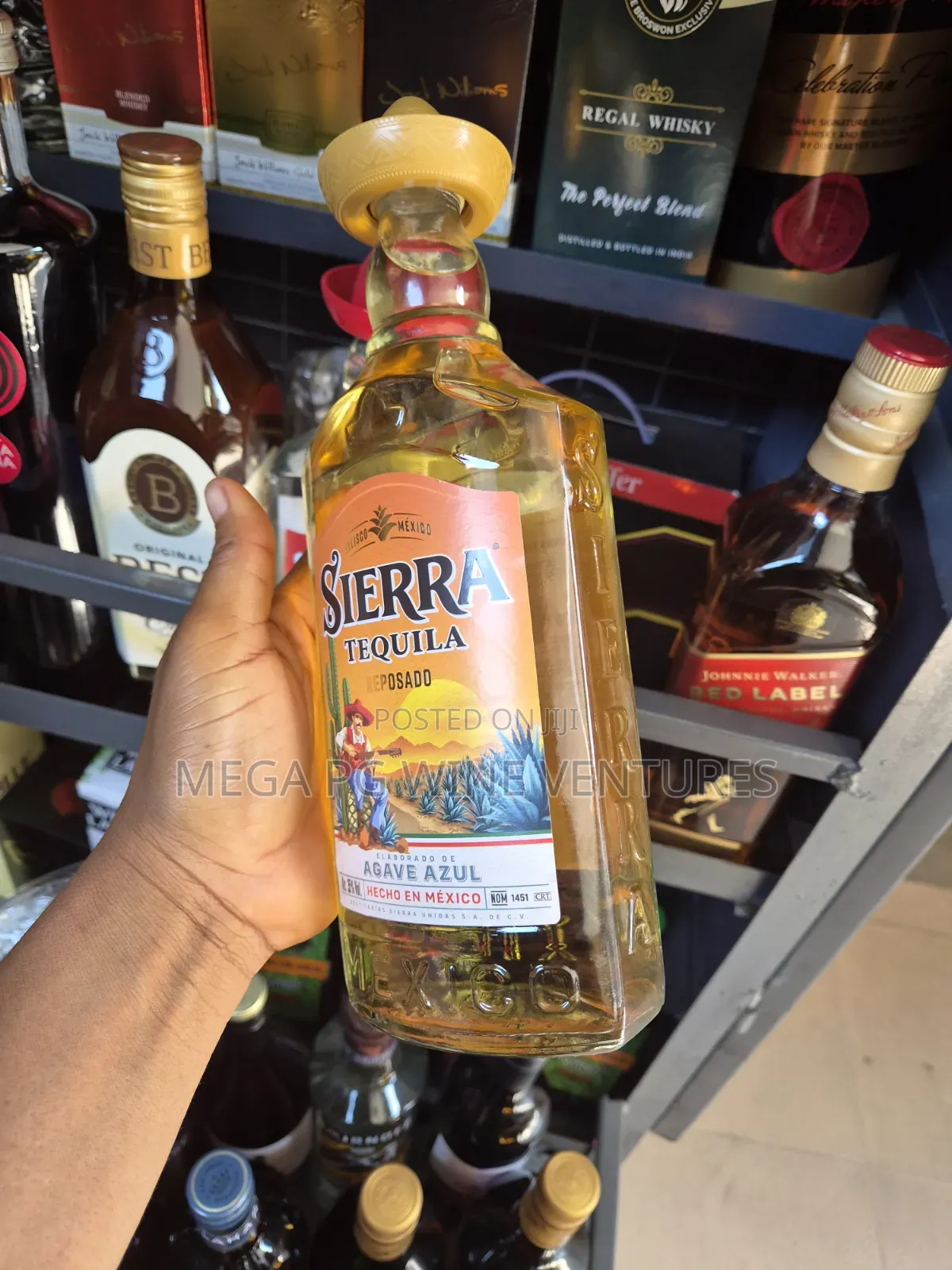 Sierra Tequila Tropical