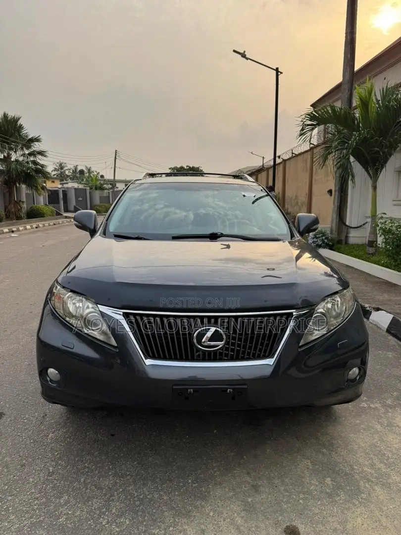 Lexus RX 2010 Gray