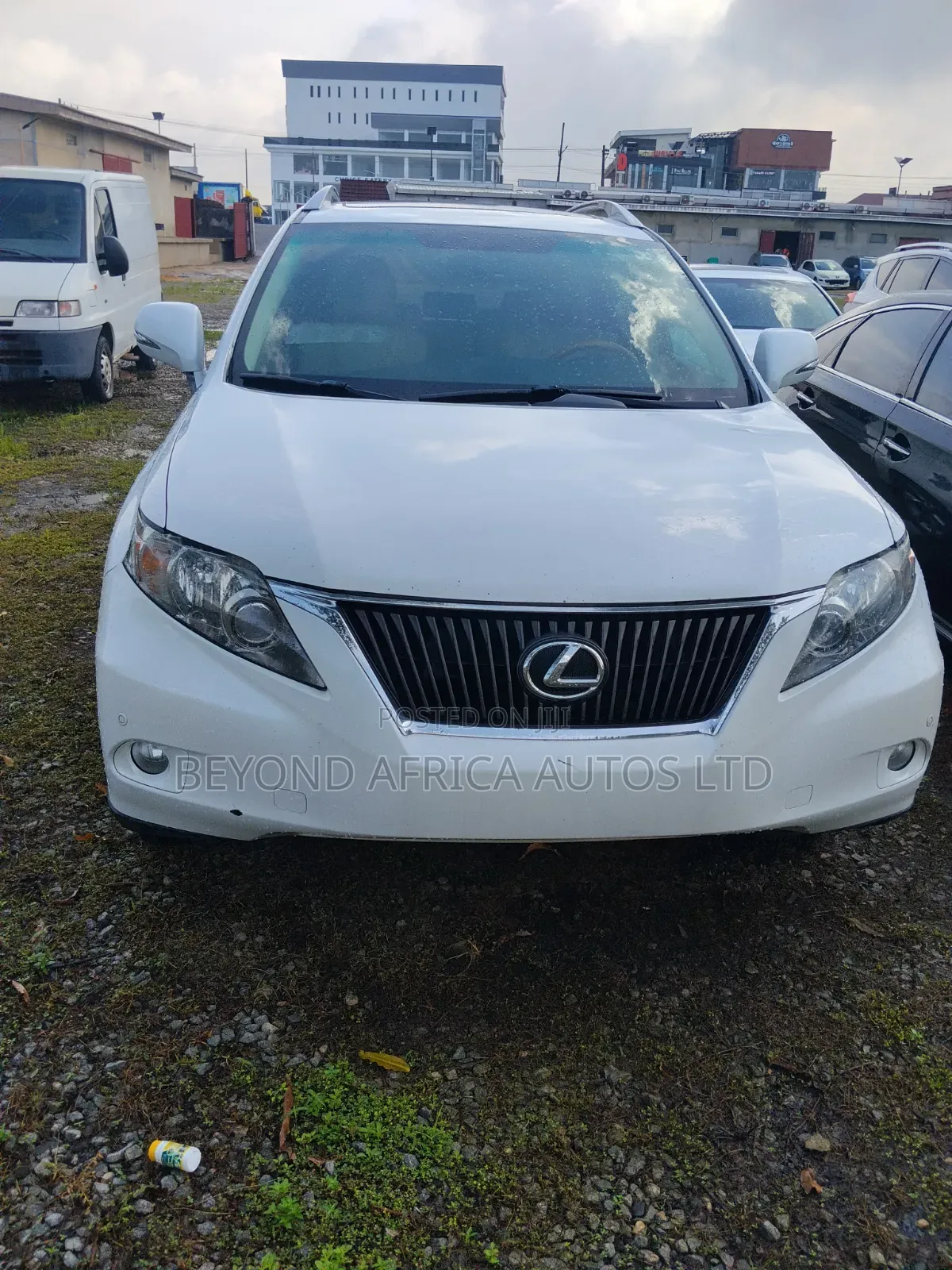 Lexus RX 2010 White