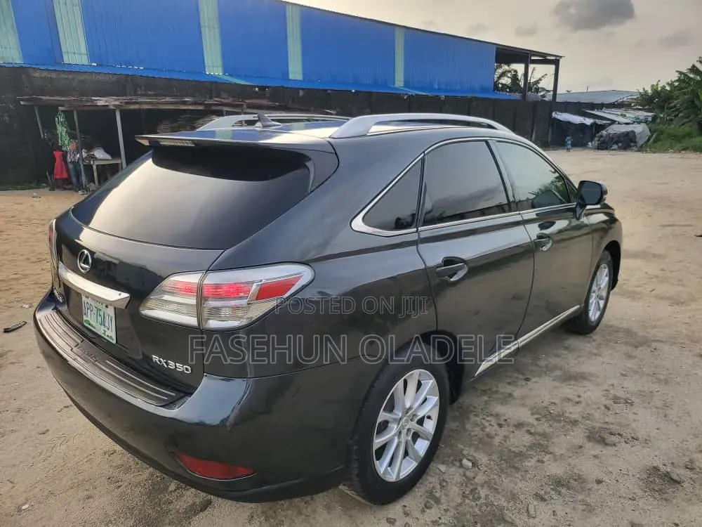 Lexus RX 350 2010 Gray