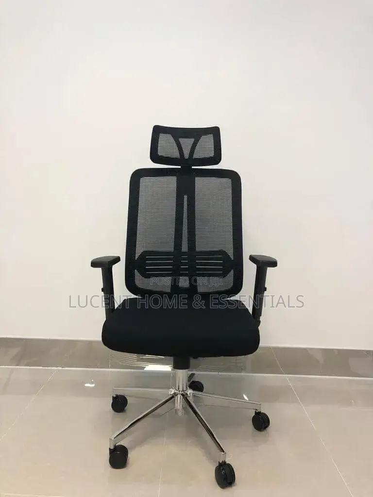 Premium Ergonomic Office Chair / Desk Chair