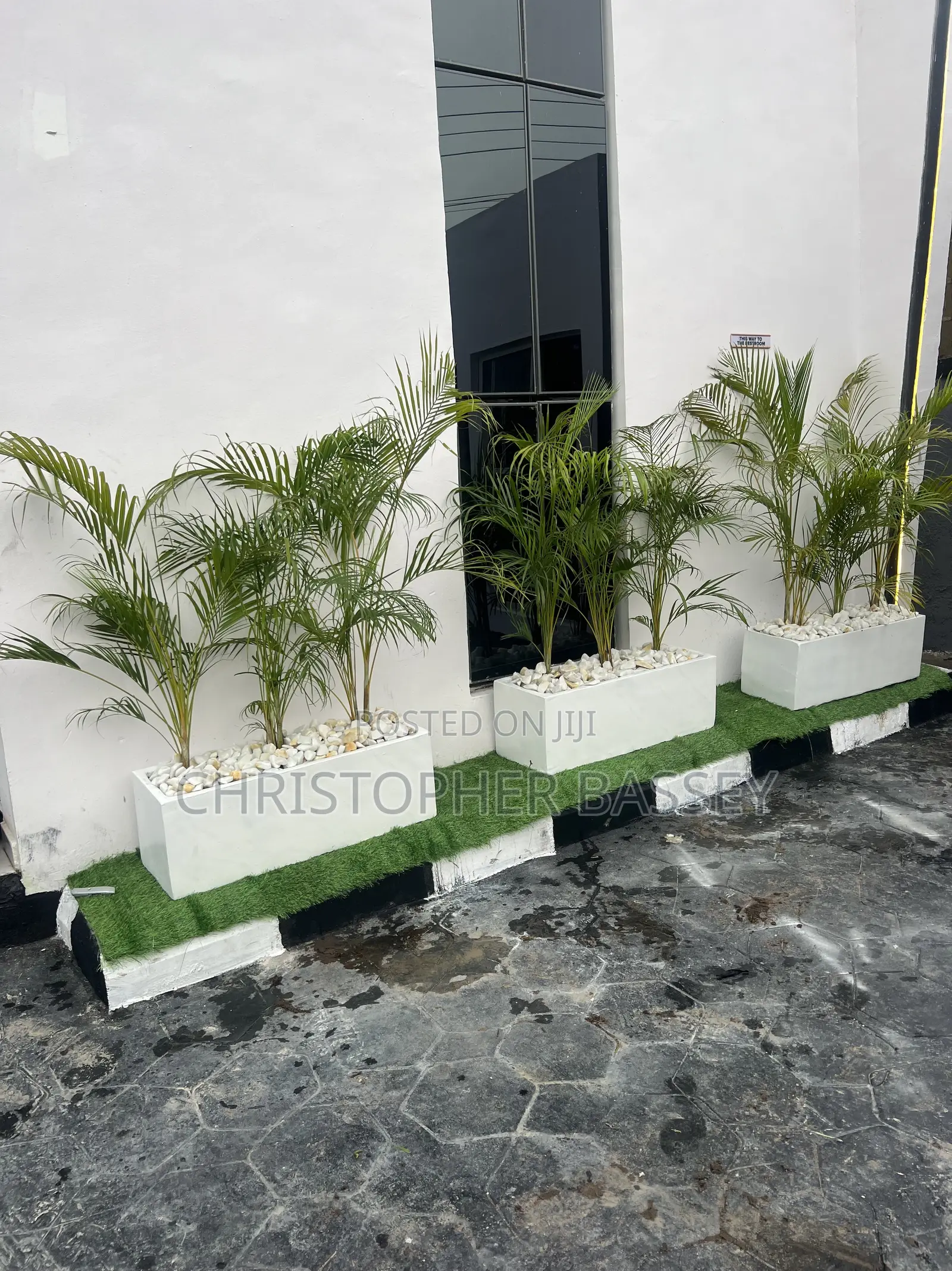 Rectangle Vase With Areca Palm Made for Home and Office Decor