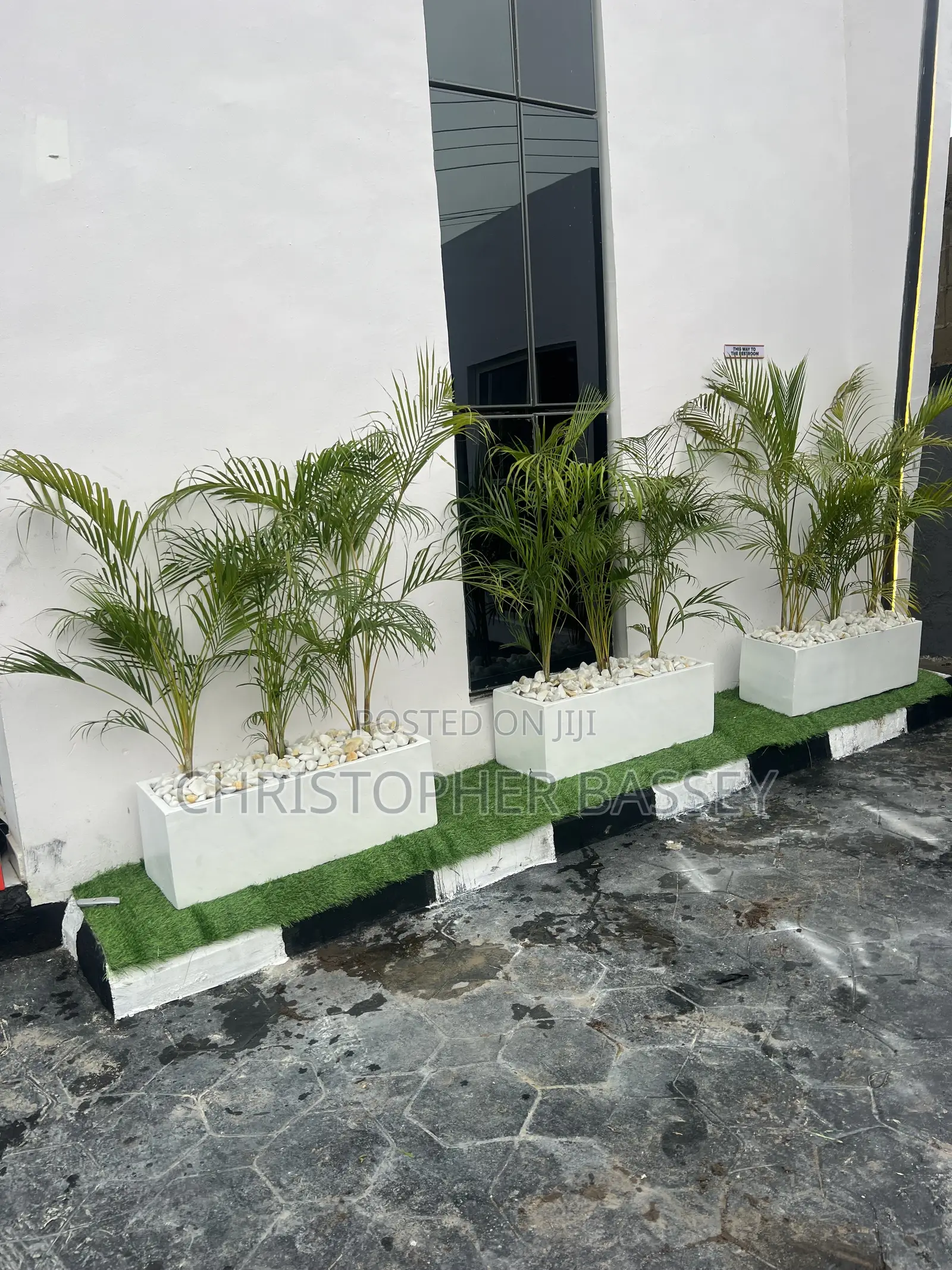 Rectangle Vase With Areca Palm Made for Home and Office Decor