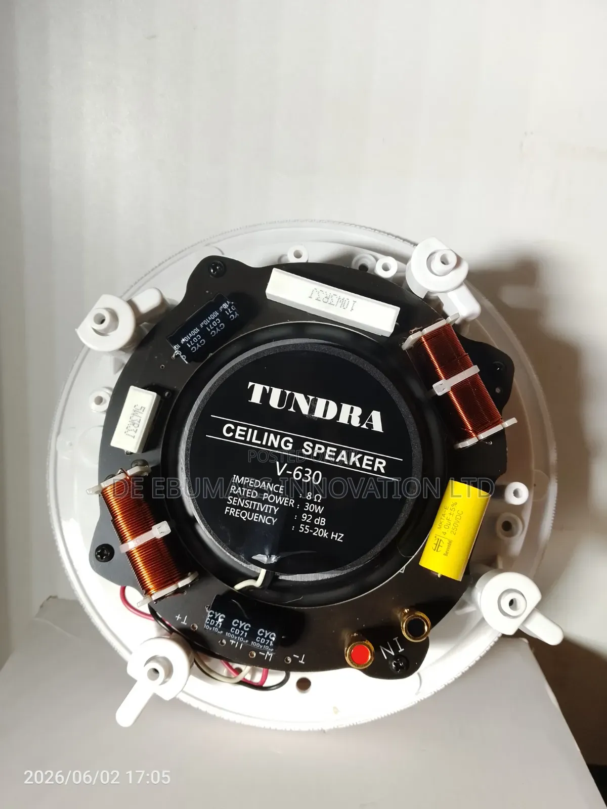 30w Tundra Ceiling Speaker