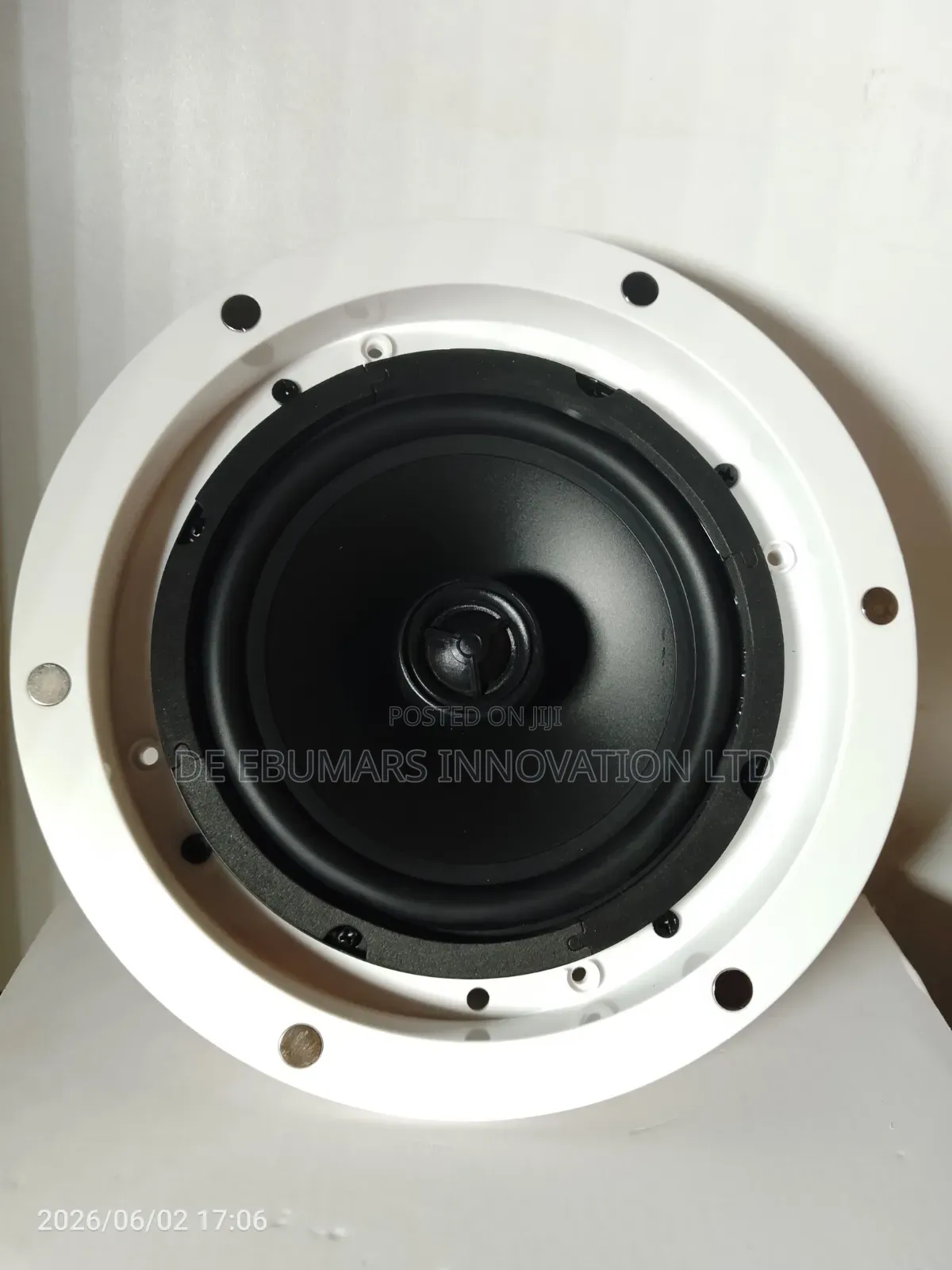 30w Tundra Ceiling Speaker