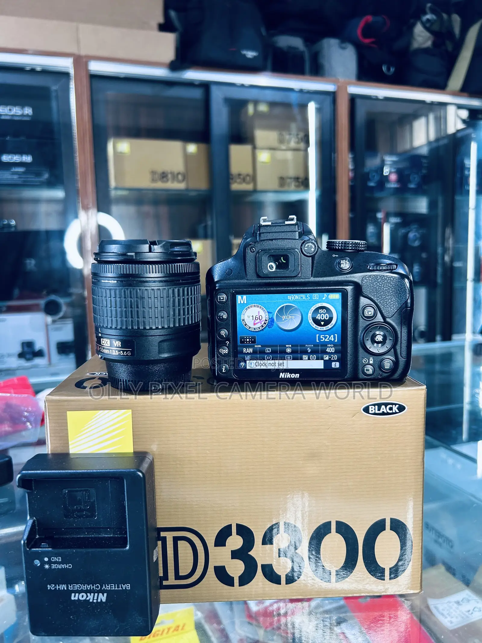Nikon D3300 With Lens