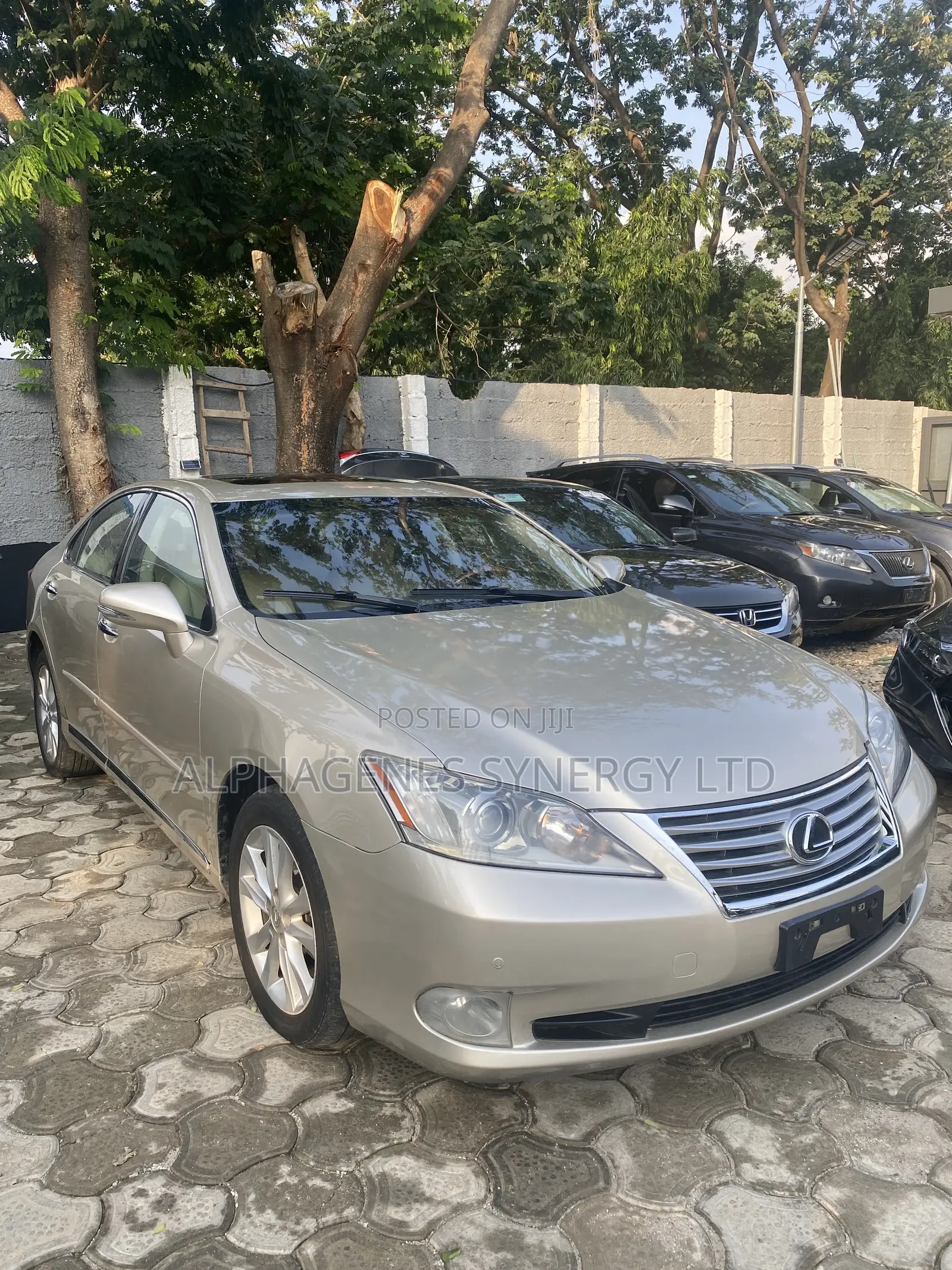 Lexus ES 350 2011 Gold