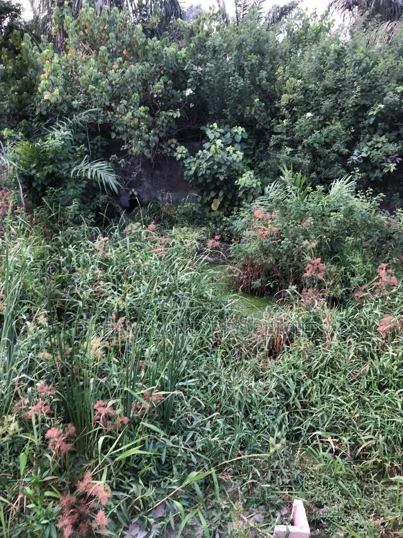 Half Plot of Land at Westwood Estate ,Badore, Ajah. 400 SQM
