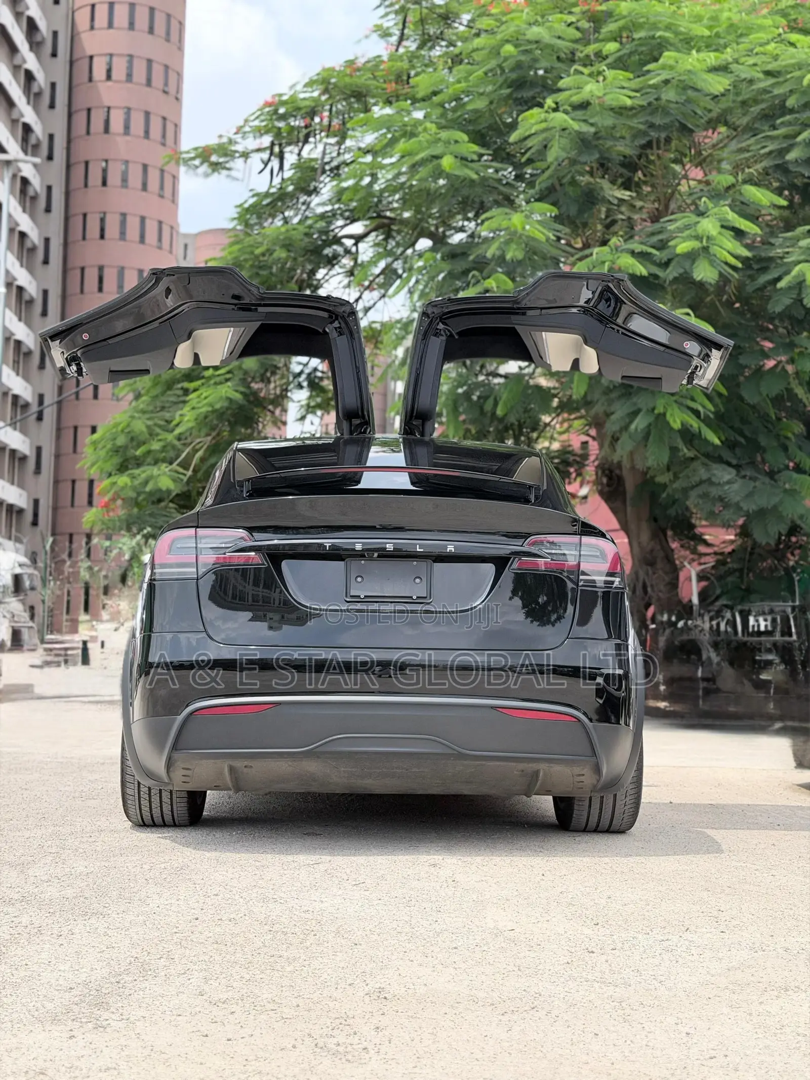Tesla Model X Plaid AWD 2025 Black