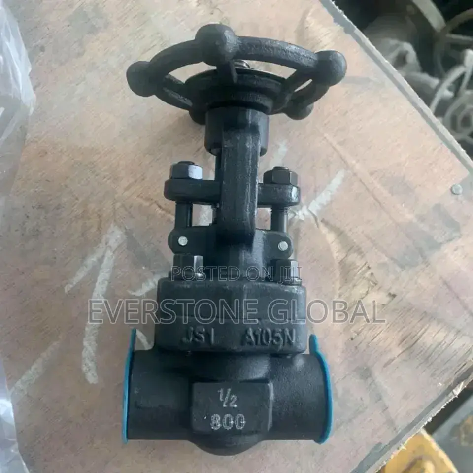 1/2 Needle Globe Valve