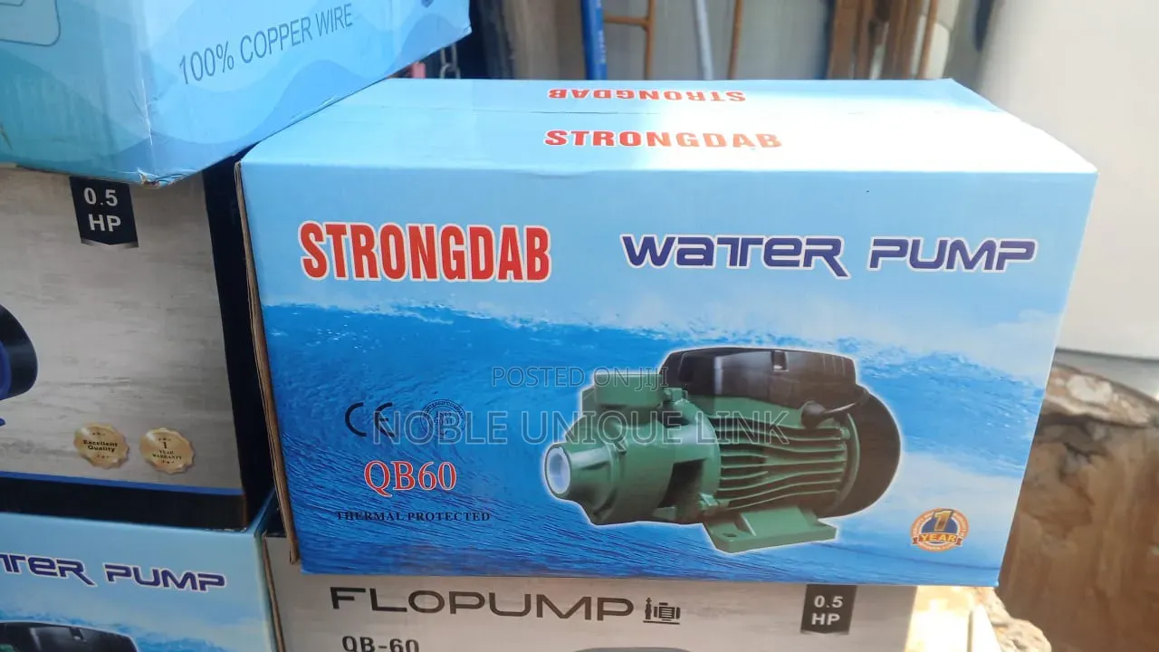 Surface Water Pump
