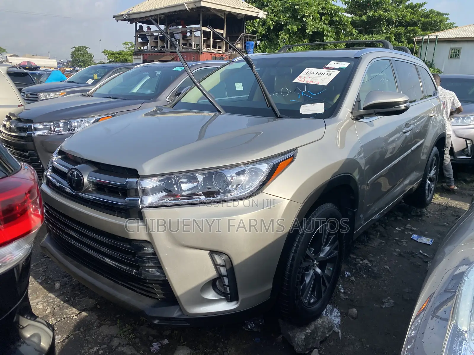 Toyota Highlander XLE V6 4x4 (3.5L 6cyl 6A) 2016 Gold