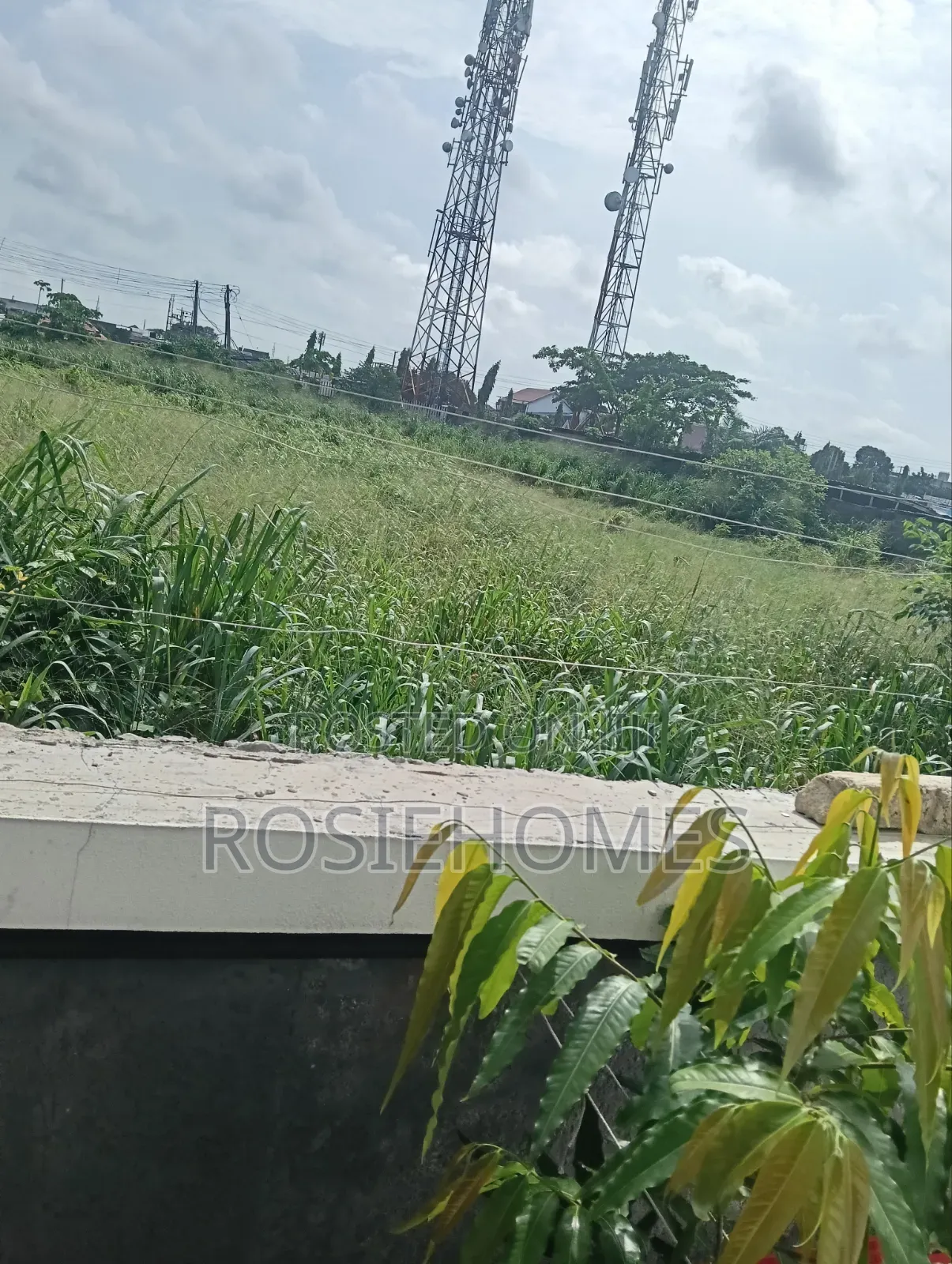 Genuine Land for Sale