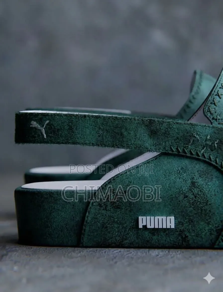 Puma Update