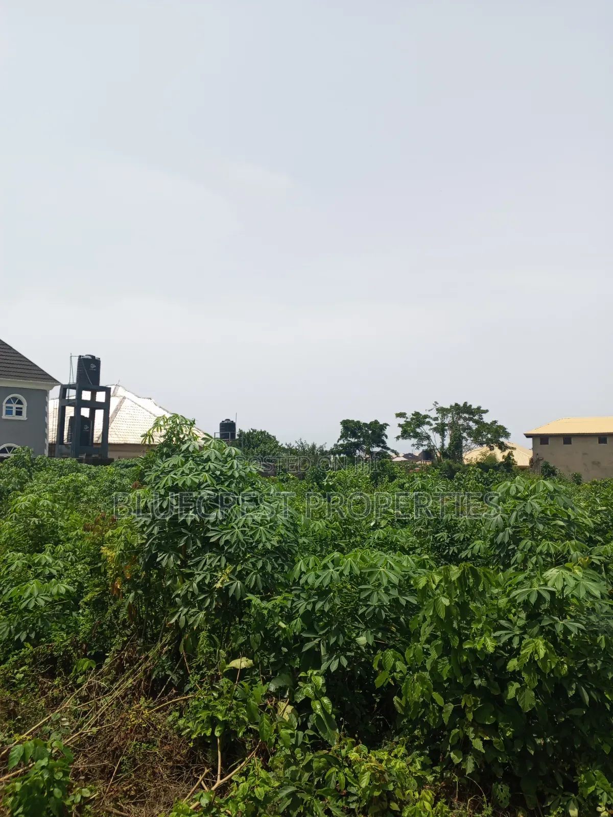 6 Plot of Land for Sale Along Eniosa Road Akobo Ibadan