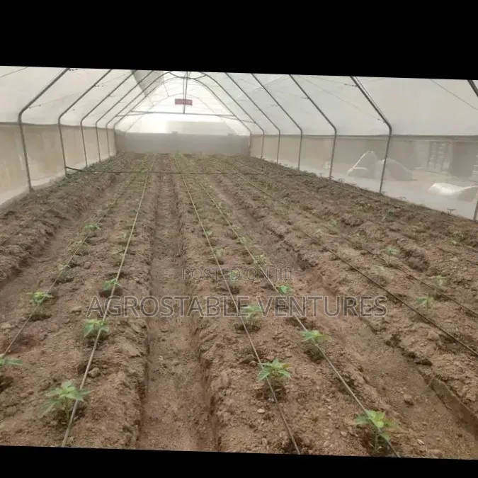Drip Irrigation Lateral Pipe (Drip Line)