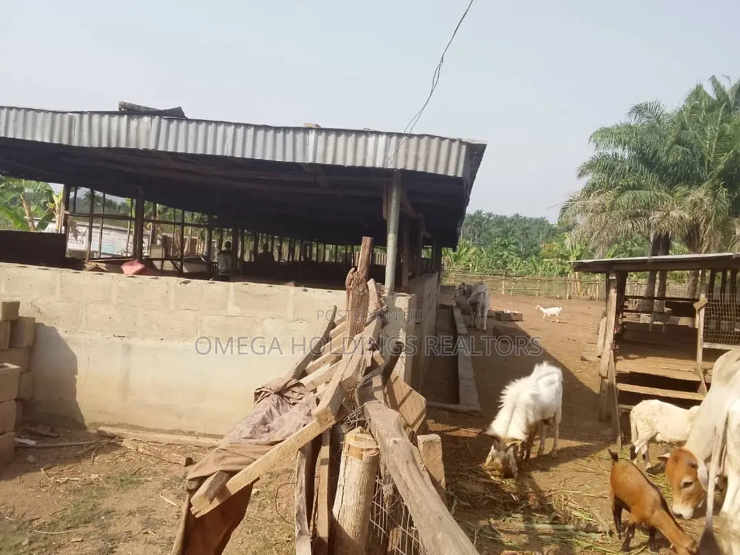 Farm for Sale