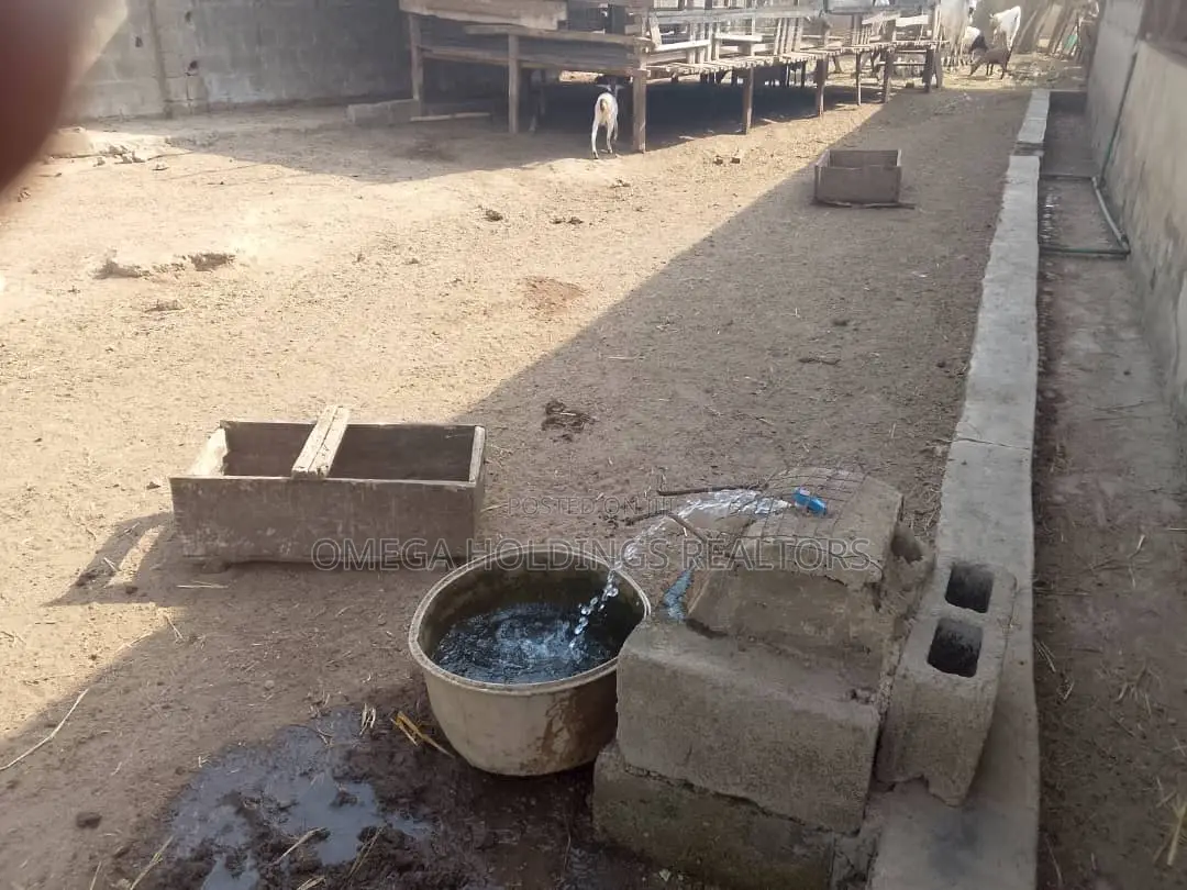 Farm for Sale