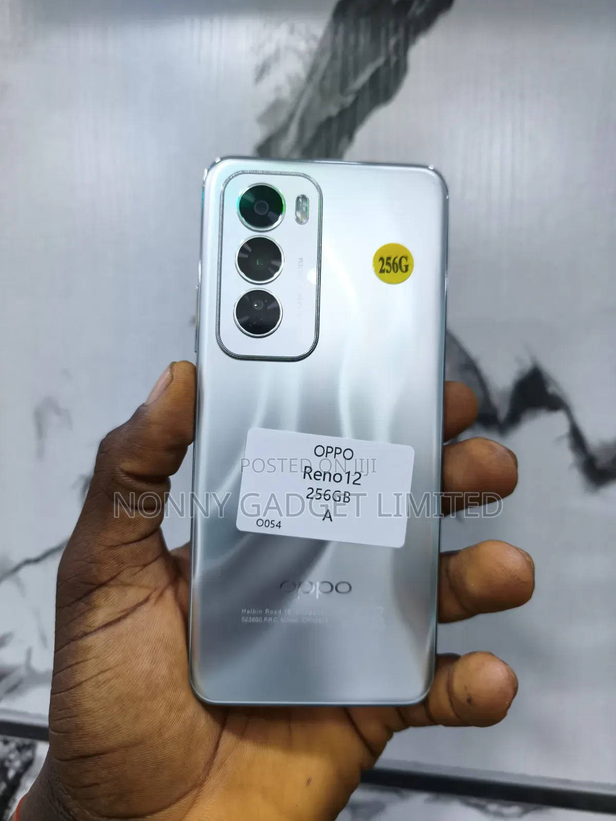 Oppo Reno 12 5G 256 GB Silver