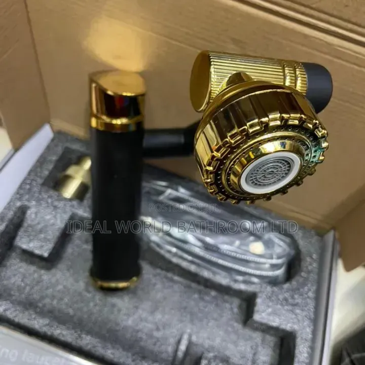 Black and Gold Mixer Tap