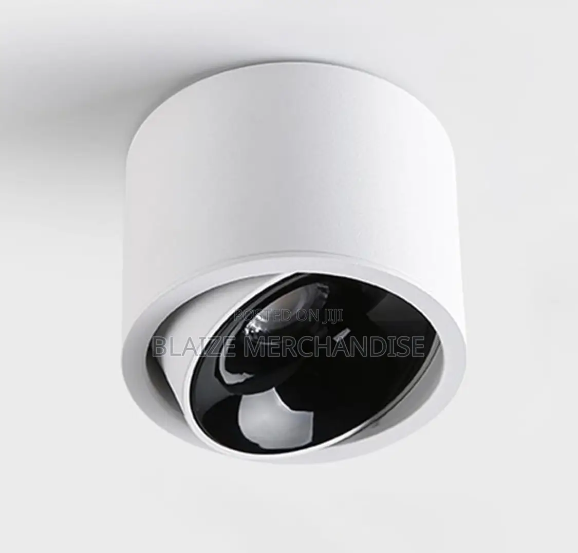 Ceiling Spotlight Led Surface Mount Accent Spot Light Aluminum