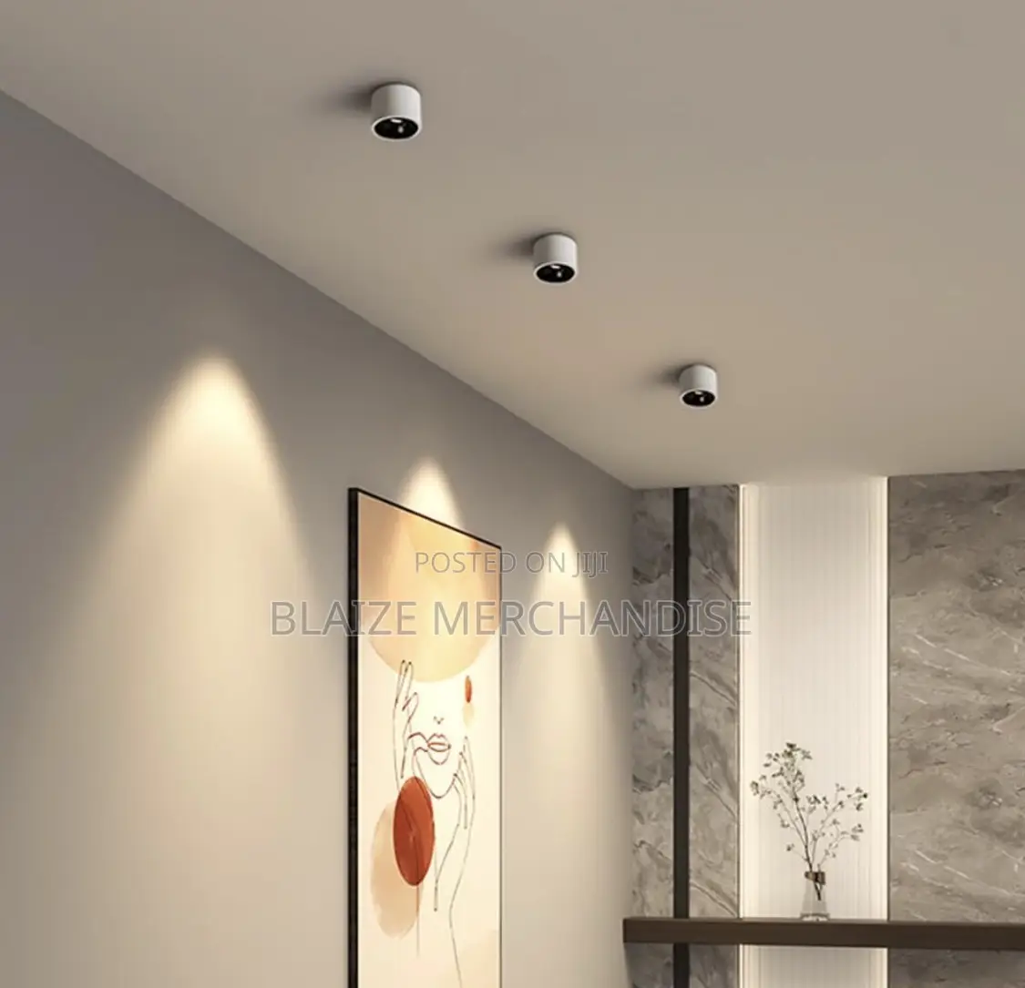 Ceiling Spotlight Led Surface Mount Accent Spot Light Aluminum