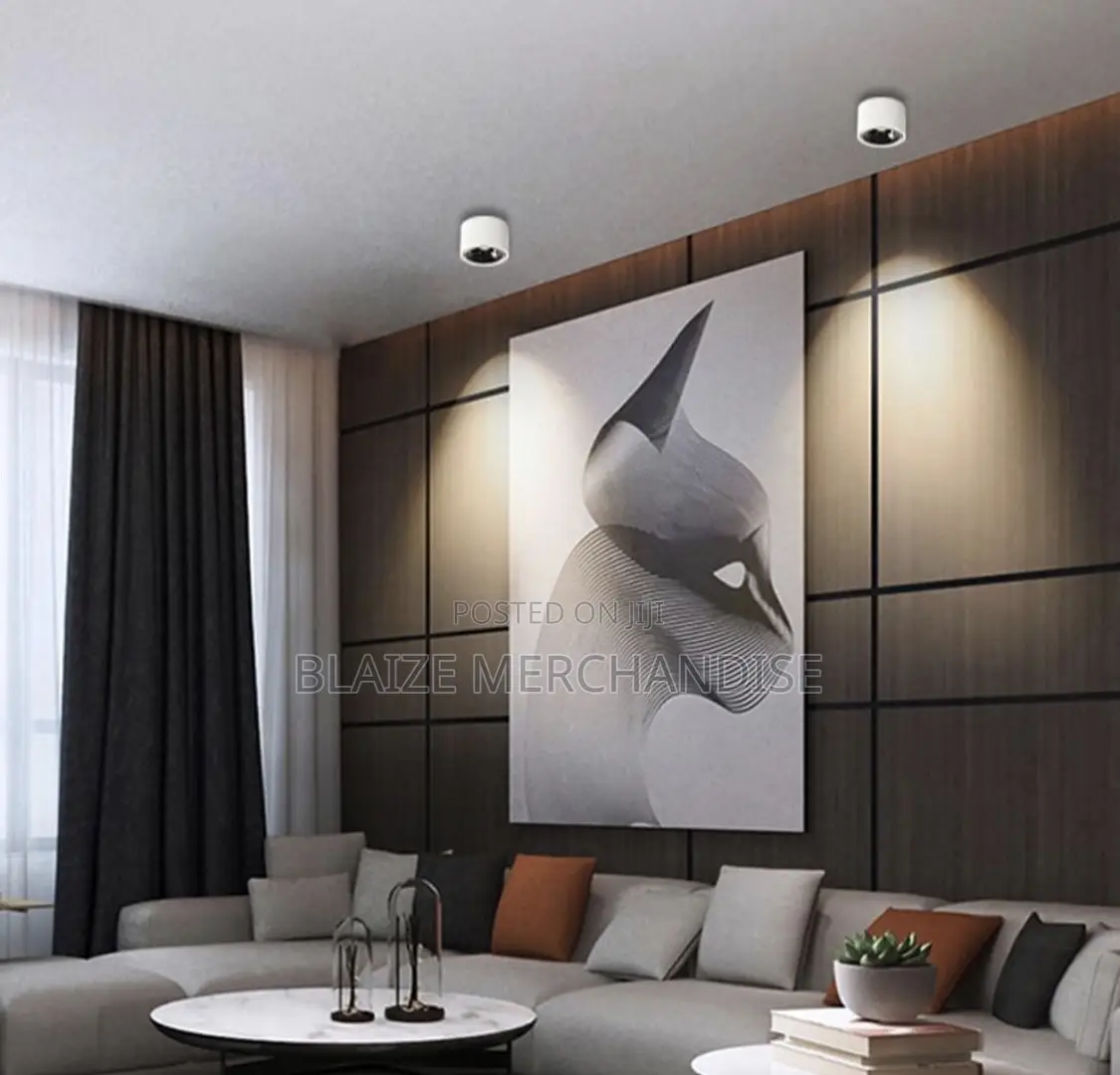 Ceiling Spotlight Led Surface Mount Accent Spot Light Aluminum