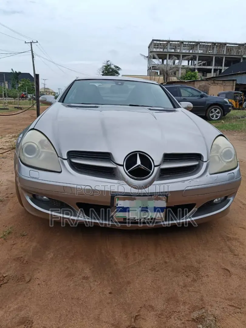 Mercedes-Benz SLK-Class 2007 Gray