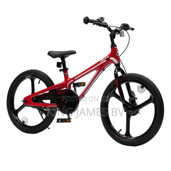 Chrome Wheels Adult Bicycle