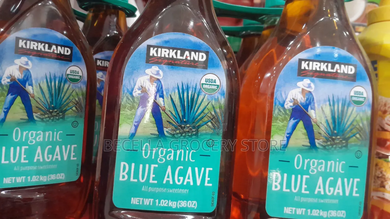 Kirkland Signature Organic Blue Agave 1.02g (2 in 1 Pack)