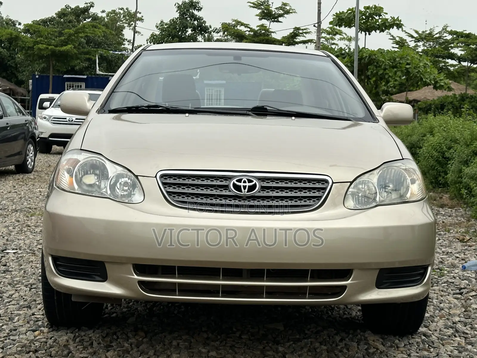 Toyota Corolla 2004 Gold