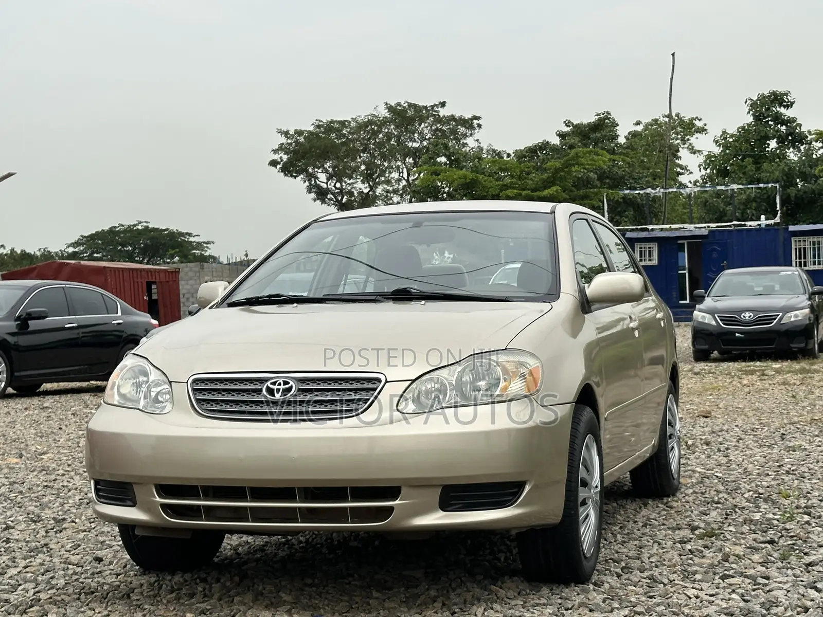 Toyota Corolla 2004 Gold