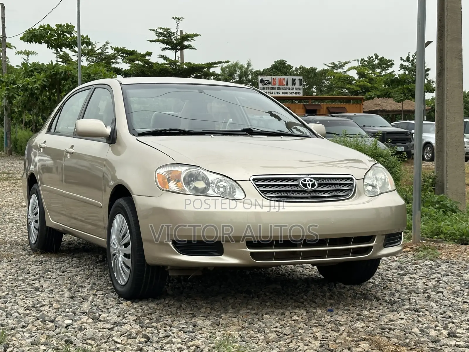 Toyota Corolla 2004 Gold