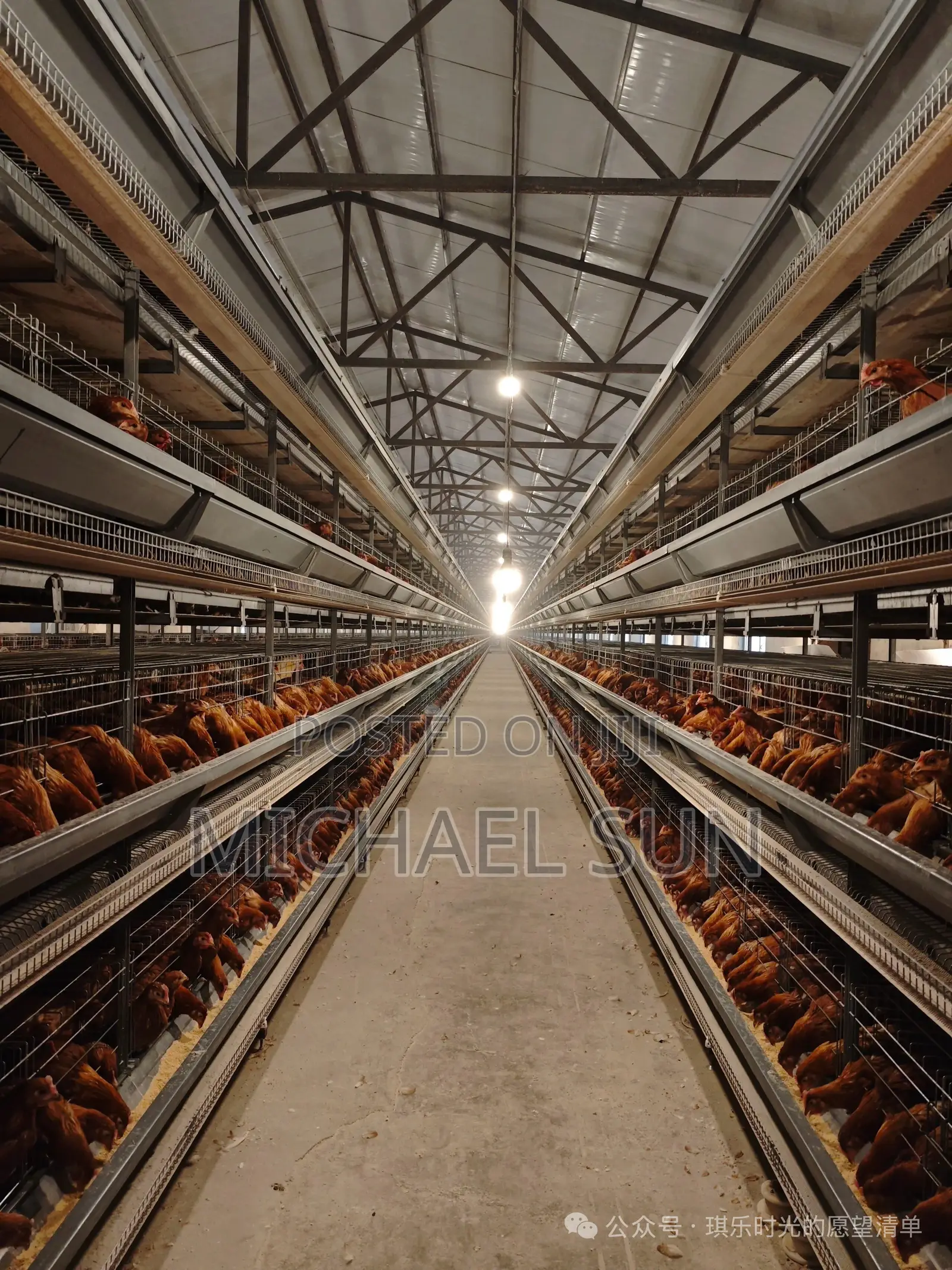 Fully Automatic Chicken Cages Battery Cages Poultry Cage