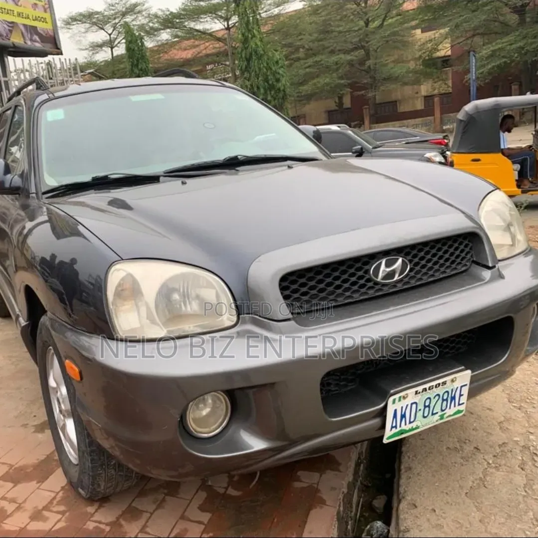 Hyundai Santa Fe 3.5 Limited 4WD 2006 Gray