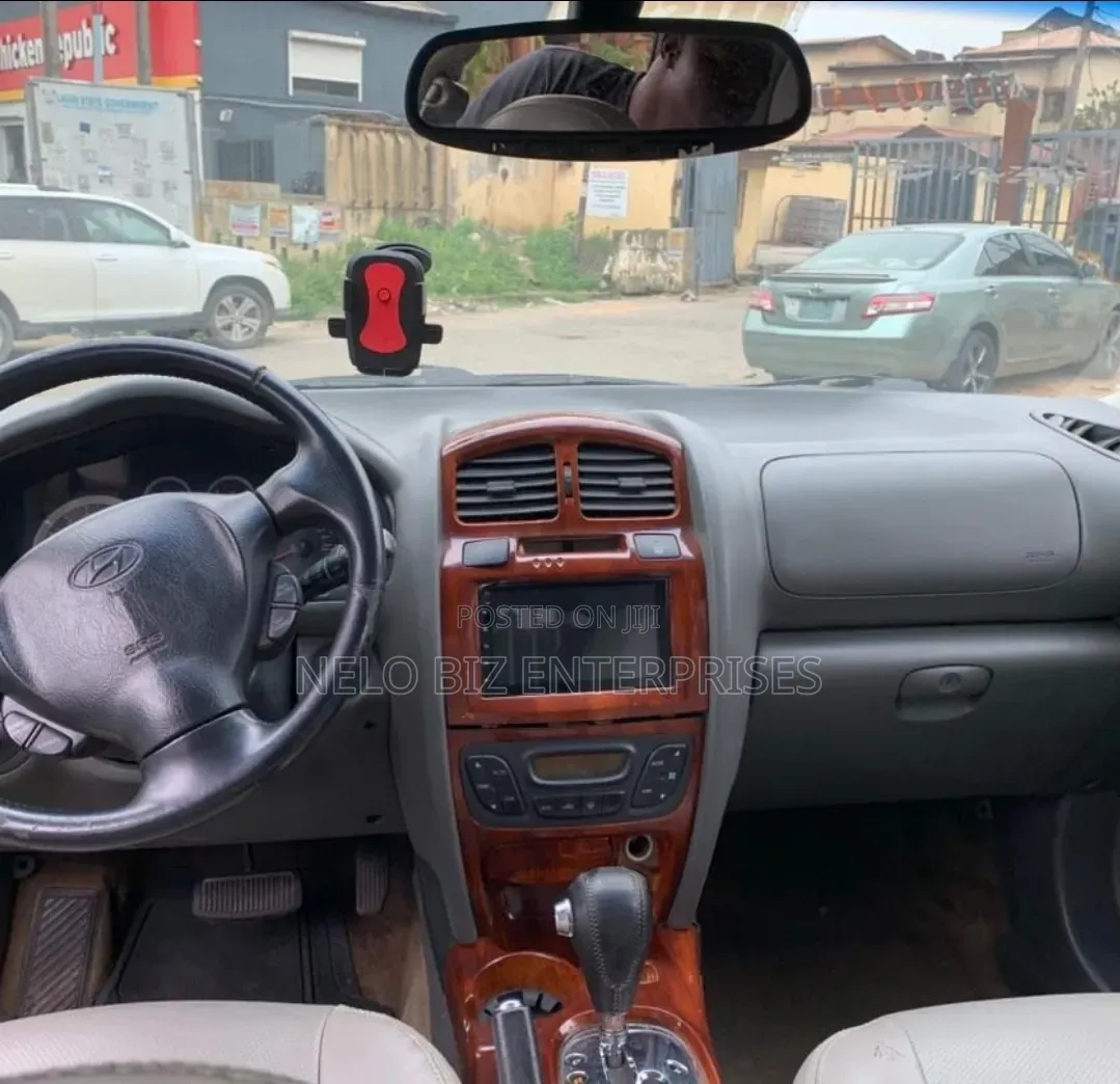 Hyundai Santa Fe 3.5 Limited 4WD 2006 Gray