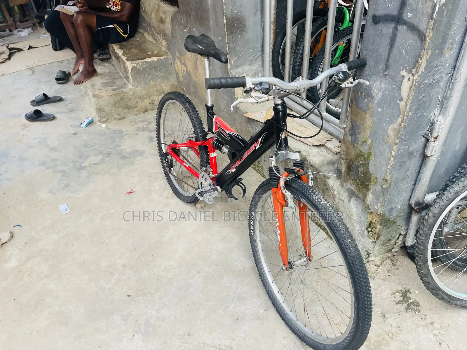 Mountain Adult Big Bicycle / Alaba International Market